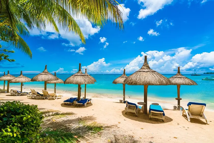 Property Management in Mont Choisy