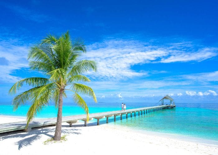 Why Hire a Local Manager for Your Mauritius Rental?