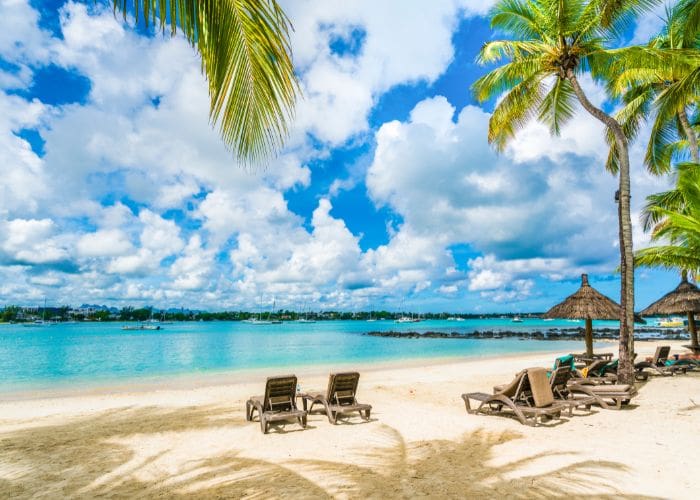 We can help your property in Mauritius reach more potential guests and stand out on booking platforms We can help your property in Mauritius reach more potential guests and stand out on booking platforms