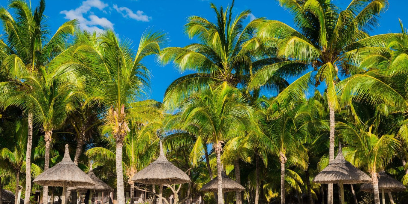 Mauritius Holiday Rental Income Potential