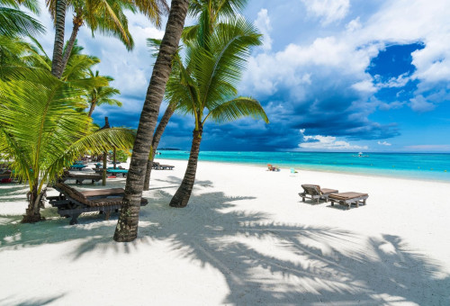 Local Insights: Top Mauritius Rental Areas to Invest In